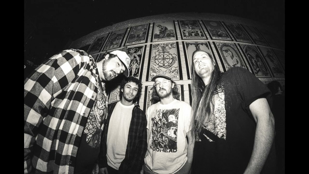 De Evolution (The Monkey Song) - Giant DeNiro LIVE