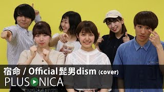 宿命 / Official髭男dism (cover)