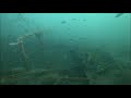 Exploring the Frontier Ship Wreck | Newport Beach, CA | Deep Trekker Underwater ROV
