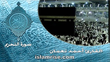 سورة التحريم ( القارئ أحمد نعمان )