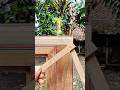 traditional craftsman tricks that are still effective today. #woodworking #carpentry #wood #tools