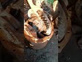 ashoklayland gattha feeting 👨‍🔧#viral #trending #sorts
