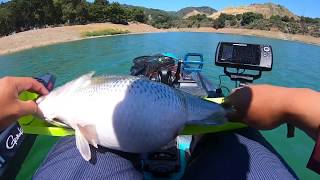 BIGGEST BASS I HAVE EVER SEEN!!!!!??? Kayak Bass Fishing Stevens Creek Reservoir