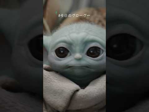 抱きつきグローグー🤗｜マンダロリアン｜Star Wars(スター・ウォーズ) #今日のグローグー #shorts