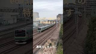 e653系k70編成での特急鎌倉です