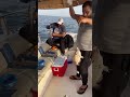 Fishing اطلس لتنظيم الرحلات البحرية من ام القيوين مع النوخذة ابو يوسف 00971555572066 