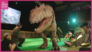 Allosaurus Appearance Causes a Stir! The Wildly Popular 