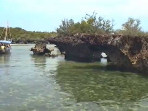 Zanzibar 2000 DeMaLu 1