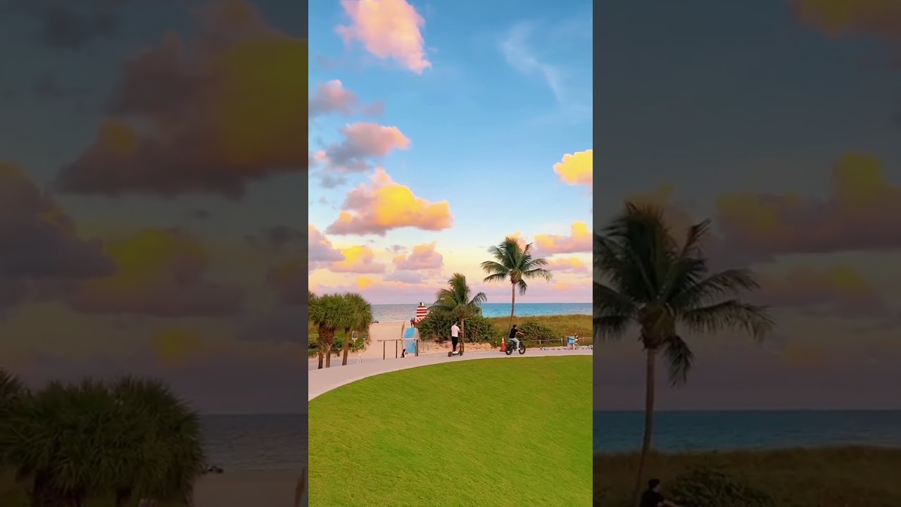 Some favourite Miami views 😍 What’s yours? 🌴 