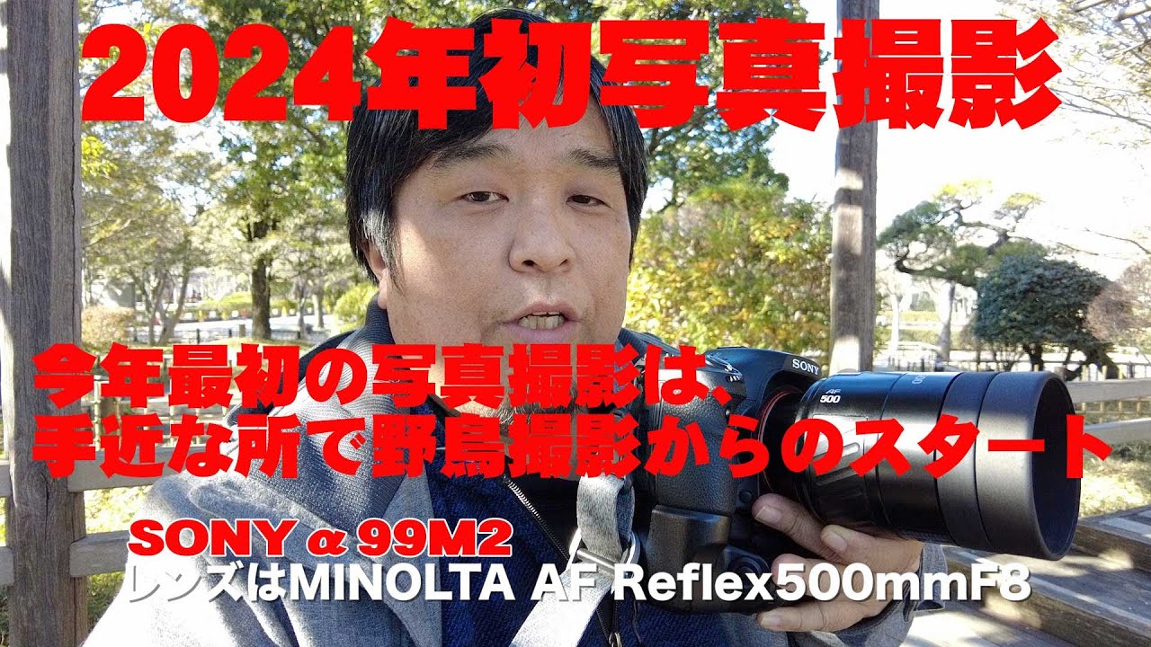 2024年写真撮影始め【野鳥撮影】MINOLTA AF REFLEX 500mmF8