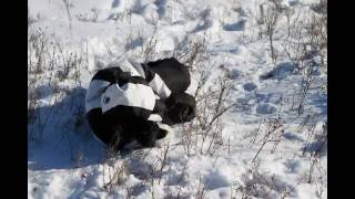 Sledding in Saskatchewan