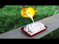 EXPERIMENT: LAVA vs EGGS