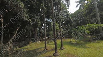 FPV Drone with Hero Session 5 smoothed by RSGO