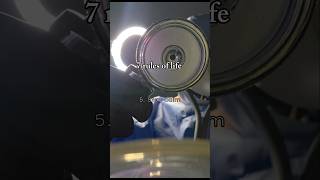seven rules of life. #seven #rules #of #life