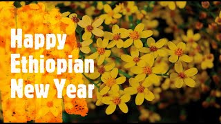 ⁣Ethiopian New Year Music Collection | የአዲስ ዓመት ሙዚቃዎች ስብስብ