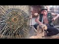 Guess what some unique techniques for making bamboo basketsincluding creating the basemust watch