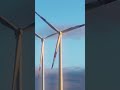 Trump is 0-5 in his latest fight against wind energy #hopecore