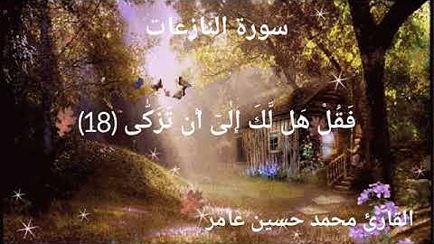 سورة النازعات _ الشيخ محمد حسين عامر