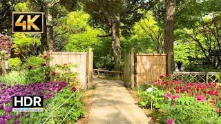 4K Japan Walk | Yokohama Garden Necklace Yokohama Stadium | 4K HDR