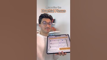 Memorize the Brachial Plexus in 60s! #medstudent #medschool #anatomy #anatomydrawing #usmle #step1