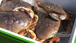 CWhat's Cooking with Oregon Dungeness Crab