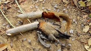 สาวดอย ใช้ท่อไม้ไผ่จับกระรอกไดไก่ป่าสุดยอดมาก Amazing bamboo trap by pajzoo xyooj Channel 4,715 views 4 weeks ago 14 minutes, 40 seconds