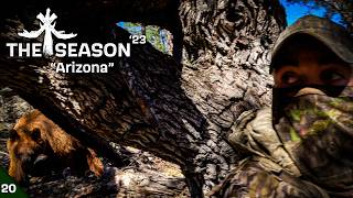 QUIET MERRIAMS? BEARS AND GOBBLING HENS!  TURKEY HUNTING IN ARIZONA