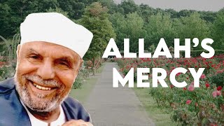 Allah's Mercy | Shaykh Metwally al-Sha'rawi screenshot 4