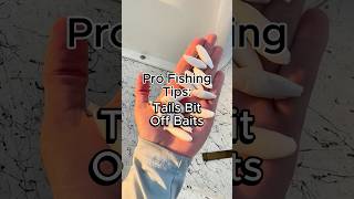 Should you rerig a fresh bait if the tail gets bit off your curly tailed grub?#fishing