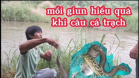 Thác đá hàn điểm câu lý tưởng/Welded stone waterfall is an ideal fishing spot