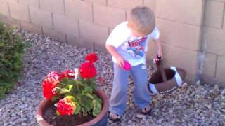Brody's Backyard Easter Egg Hunt