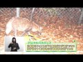 151003　SKE48のあいちテル　一色嶺奈 の動画、YouTube動画。