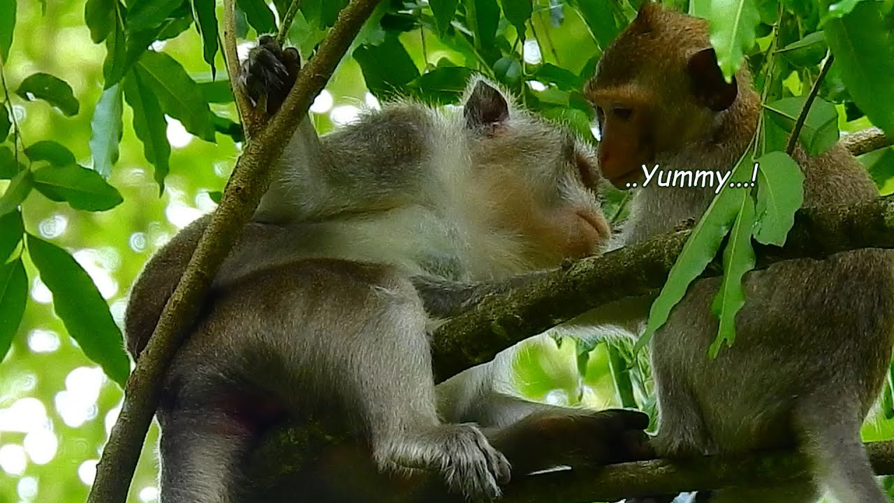 Alba Hand Make Wonder Did She Still Need Milk