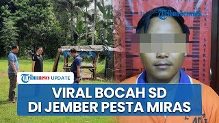 🔴 LIVE: Viral Aksi Bocah SD di Jember Pesta Miras hingga Teler, Penjual Arak jadi Tersangka