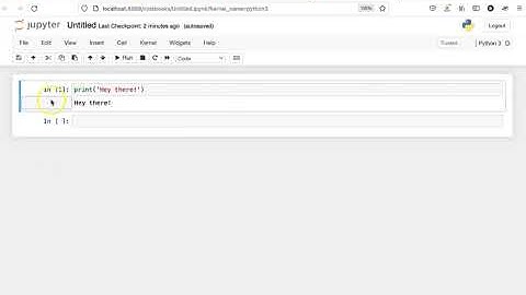 Running a Jupyter notebook and its cells