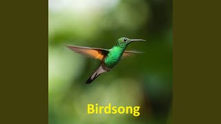Download Lagu Sounds of a flycatcher singing Download Lagu Sounds of a flycatcher singing