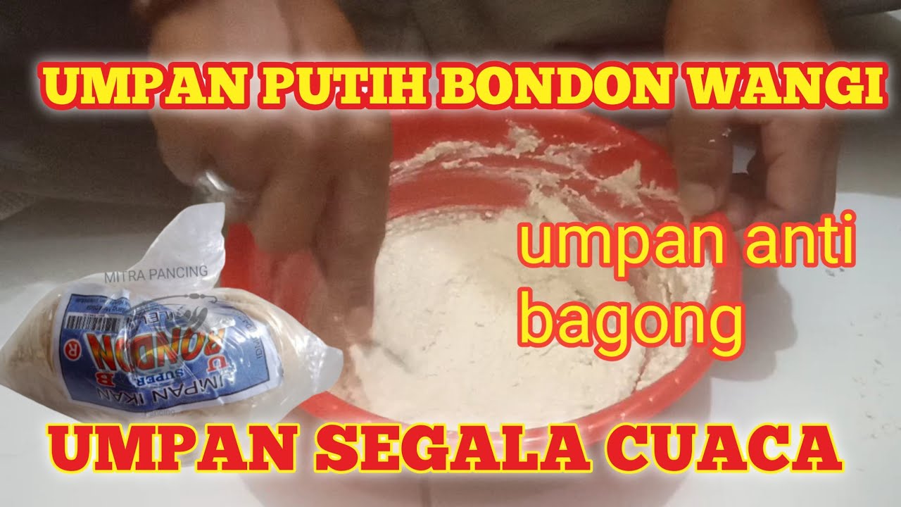UMPAN PUTIH BONDON IKAN MAS