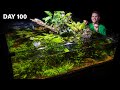 360° Giant No-Filter Guppy Pond Tank 100 Days Later. How is it?