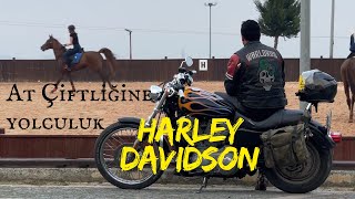 AT ÇİFTLİĞİNE YOLCULUK | HARLEY DAVIDSON XL 883 C 