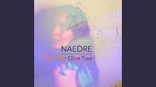 Video thumbnail of "Naedre - Under the Olive Tree"