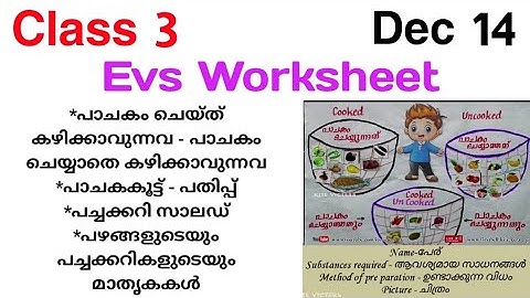 Class 3 Evs Worksheet 14/12/21|Std 3 Evs Worksheet|std 3 environmental studies|victers class 3|3 Std