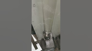 Day 1 at FLUIDS Lab | Stokes