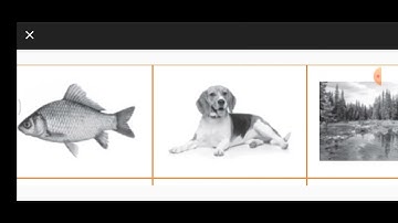 CLASS 4 BLOCK 17.4 REDUCING POLLUTION, SOCIAL SCIENCE