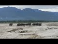 Elephants Going to Forest, ⚠️📢 West Bengal, India #sagorfighter #forest