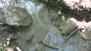 Slow Motion Throwing a Rock into Water