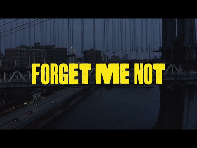 Say She She - Forget Me Not [OFFICIAL VIDEO]