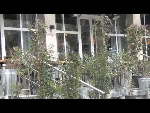 Strada ( cafe/restaurant ) / სტრადა ( კაფე/რესტორანი ) [ 7 Sandro Euli, Tbilisi, Georgia ]