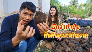 นึกว่าทำปุ๋ย ที่แท้สุดยอดของอร่อยหากินยาก 1 ปีมีครั้ง | เอิร์ธสดชื่น