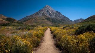 Mountain Path to Silence — Relaxing Music to Stop Overthinking & Sleep
