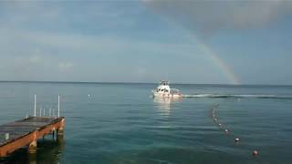 Aldora Divers Cozumel 2019 August